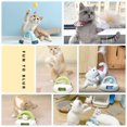 thumbnail image 4 of Cat Teaser Stick With Rotating Turntable Table Tennis Self-happy Interactive Toy Cat Supplies, 4 of 8
