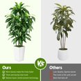 thumbnail image 3 of Árbol de dracaena artificial PUUKU de 150 cm con maceta blanca para interiores, 3 of 7