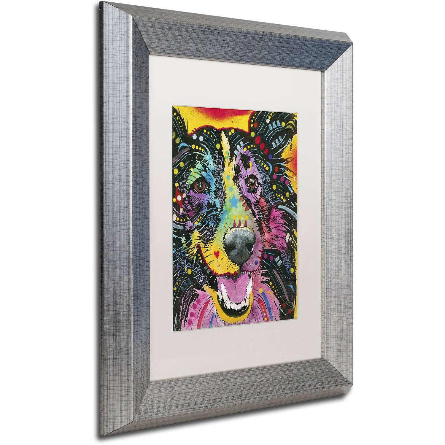 Trademark Fine Art "Smiling Collie" Canvas Art by Dean Russo, White Matte, Silver Frame
