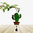 thumbnail image 4 of Campanilla de viento colgante Pintura de color Cactus Campana de hierro Colgante Campanas de viento Adornos de campana de viento antiguos (estilo aleatorio) TUNC Sencillez, 4 of 5