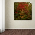 thumbnail image 4 of Trademark Fine Art "Why I Love Autumn 2" Canvas Art by Kurt Shaffer, 4 of 4