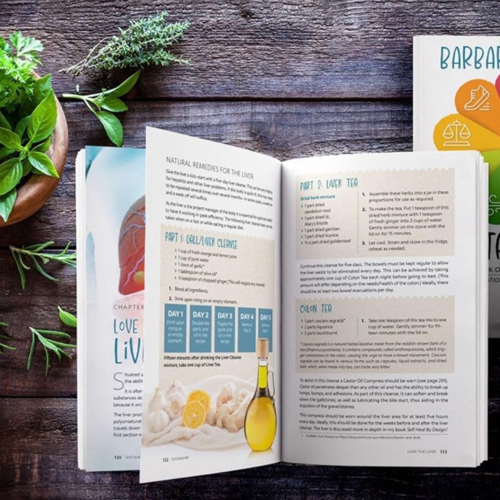 Livre Sustain Me De Barbara O'Neill - 100+ Remèdes Naturels à Base De Plantes - Guide De Phytothérapie