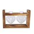 thumbnail image 2 of Innovative Flower Pot, Decorative Transparent Tabletop Vase For Indoor Outdoor Plants, 2 of 8