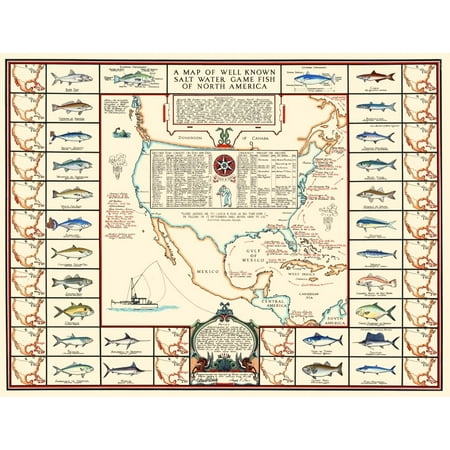 A map of well know salt water game fish of North America published in 1935. Poster Print by Bishop & Sims