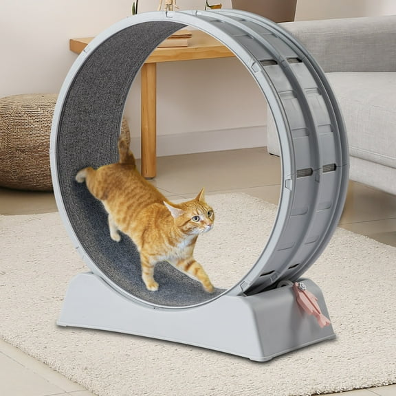 Hyxoo Cat Exercise Wheel Large Cat Treadmill Running Wheel for Indoor Cats 30 inch