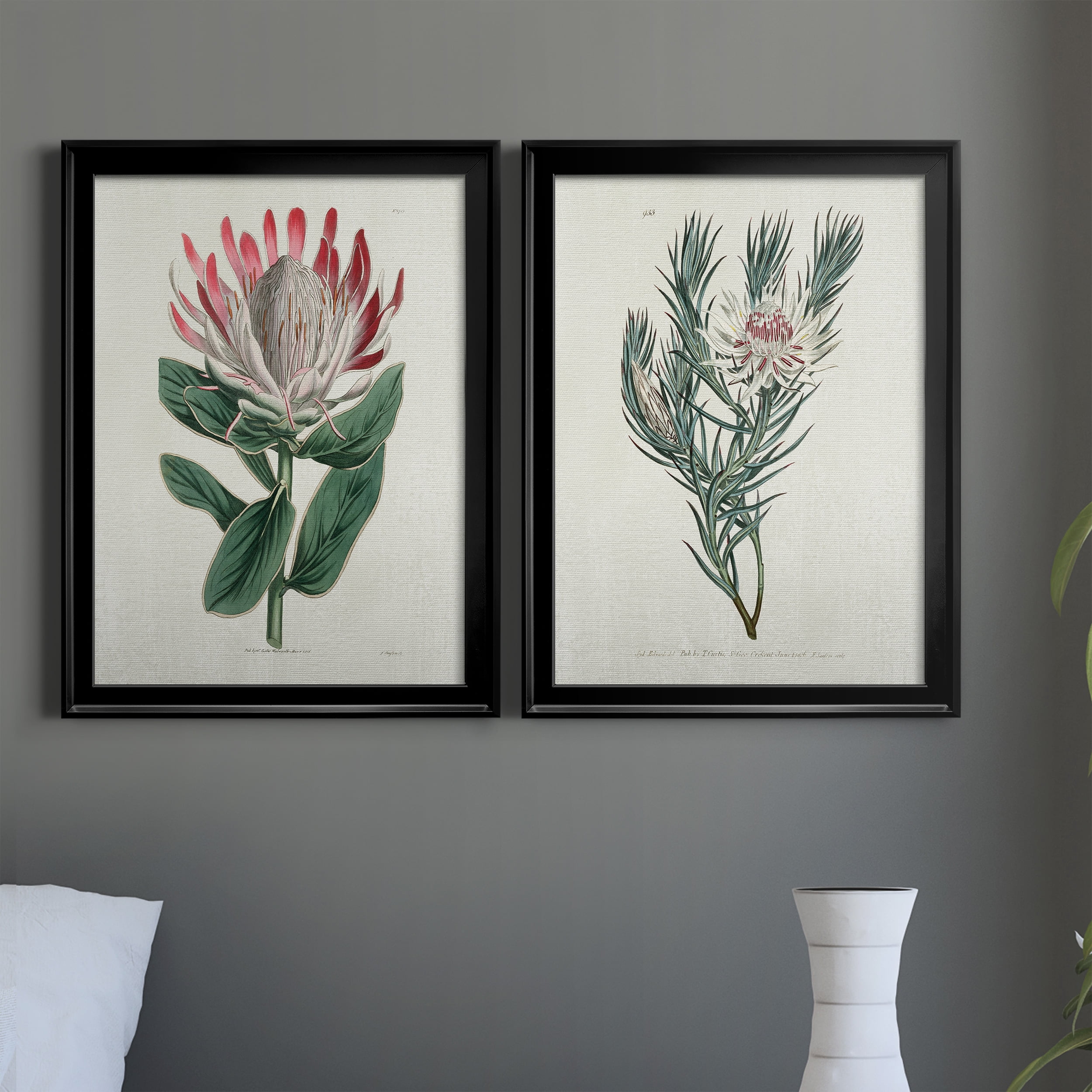2 Piece Set Protea N13 Premium Framed Canvas - Ready to Hang - 22.5 x 30.5 Each - Black Frame