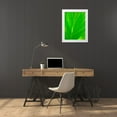 thumbnail image 3 of Grayscale 19x24 White Modern Wood Framed Museum Art Print Titled - Green Leaf III, 3 of 4