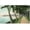 Unframed, variant on Art.com Palm Beach, Florida - View of the Walk Along Lake Worth Art Print by Lantern Press, White Frame Wall Art, 29" x 21"