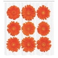 thumbnail image 3 of Ambesonne Orange Shower Curtain, Daisy Bouquet Botanical, 69"Wx75"L, Orange, 3 of 3