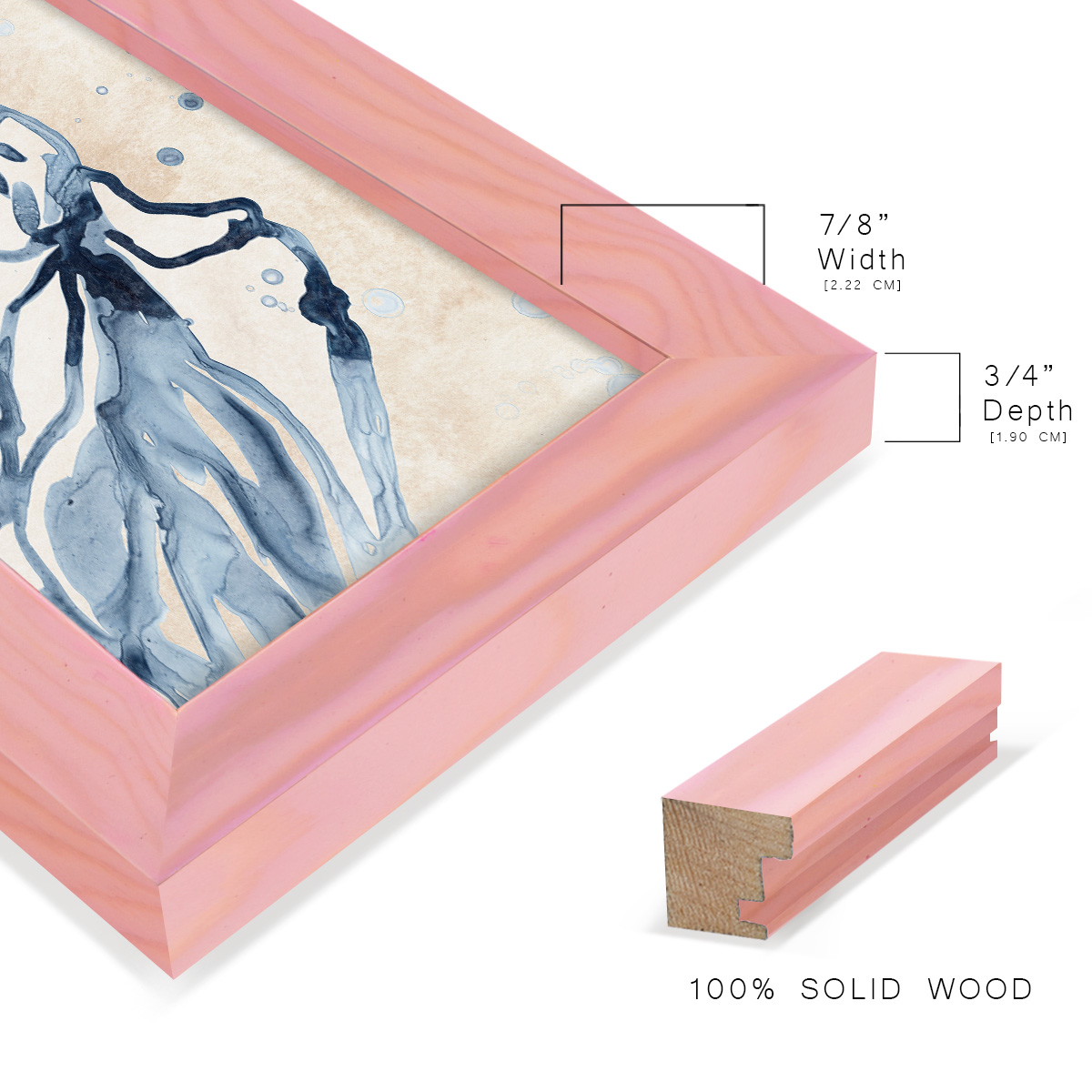 Water Shells I - Framed Print w/glass - Sunset Pink