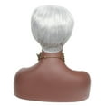 thumbnail image 5 of Pullover Toupee-Natural Short Grey White Wig Dress Costume Rose Net Synthetic Curly Wigs, Short Hair Wig with Side Bangs Fashionable Silver White, High Temperature Silkback to, 5 of 7