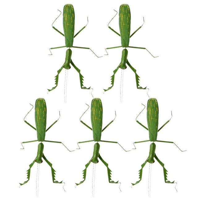 Almencla 5 Pcs Modèle d'Animal Artificiel Simulation Jouet Éducatif pour Enfants
