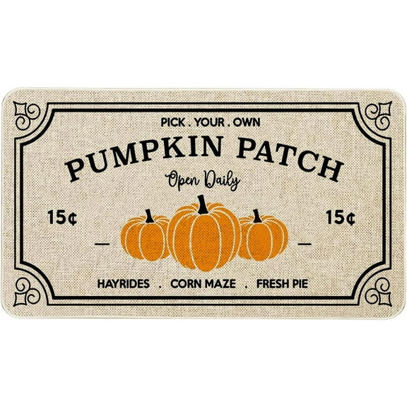 Fall Decor Door Mat 17x30 Inch Fall Farmhouse Pumpkin Patch Mat Fall Decorate Seasonal Fall Thanksgiving Country Floor Mat Switch Mat for Indoor Outdoor 17x30 Inch
