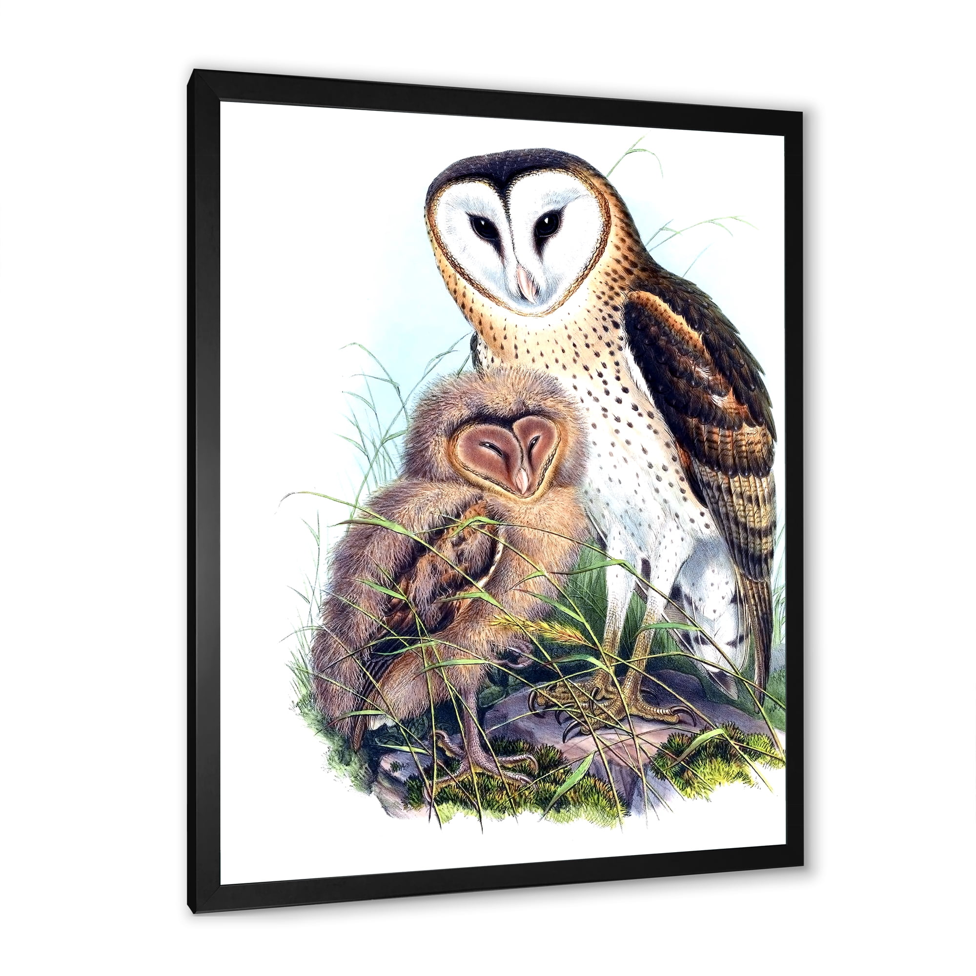 Designart 'Ancient Birds I' Traditional Framed Art Print