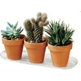 thumbnail image 2 of Plastec Plant Pak Oval Plastic Saucer, Clear, 12in L x 6in W, 2 of 4