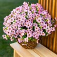 thumbnail image 4 of 12 Manojos de Flores Artificiales de Otoño, Decoración de Otoño Al Aire Libre a Prueba de Decoloración para Porche, Jardín, Patio, Sala de Estar, Recámara - Arreglo Floral Decorativo Multiusos, 4 of 8