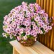 thumbnail image 4 of 12 Manojos de Flores Artificiales de Otoño, Decoración de Otoño Al Aire Libre a Prueba de Decoloración para Porche, Jardín, Patio, Sala de Estar, Recámara - Arreglo Floral Decorativo Multiusos, 4 of 8