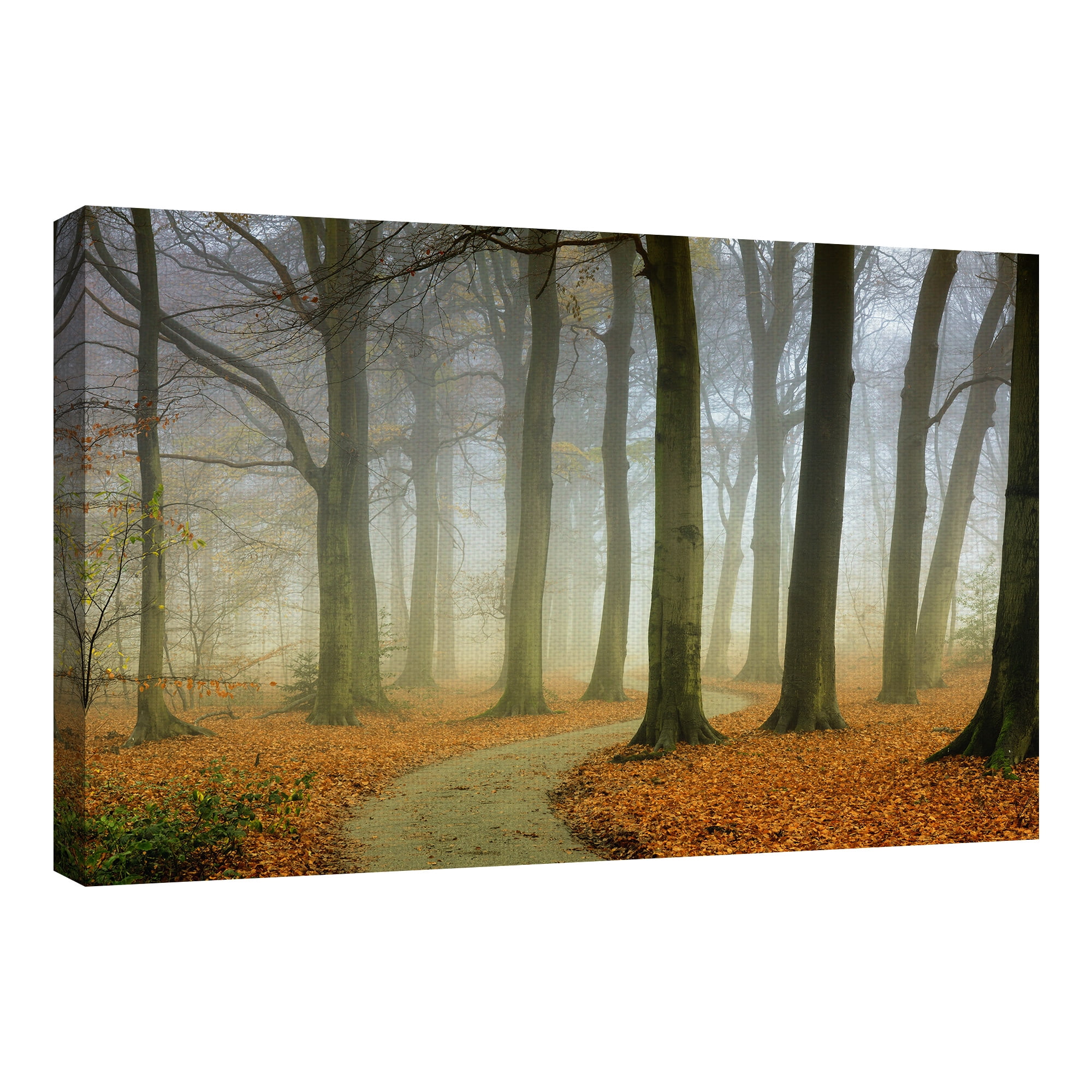 Masterpiece Art Gallery Misty Twisty Autumn Forest by Lars Van de Goor Canvas Photo Art Print 24" x 36"