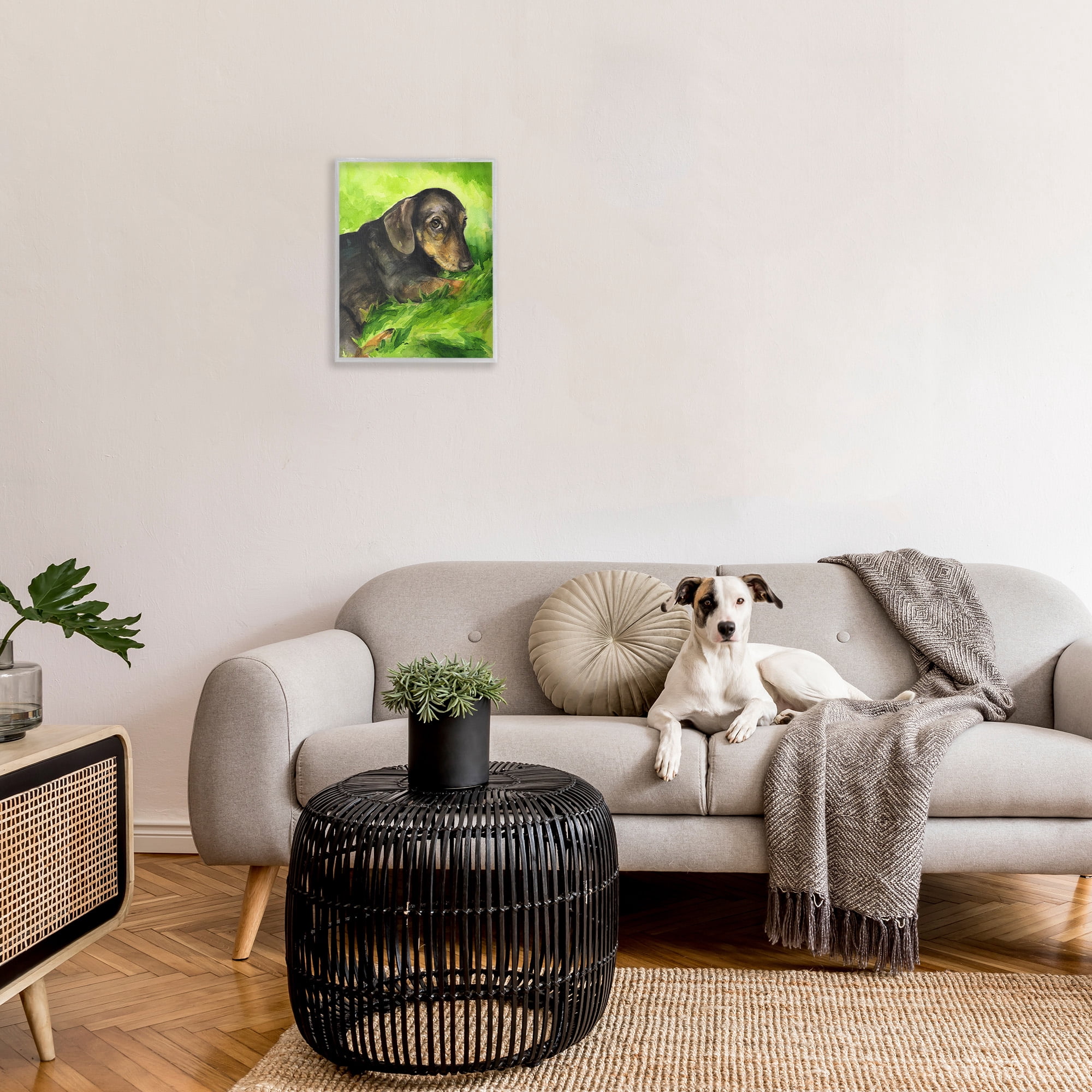 Stupell Industries Dachshund Relaxing in Grass Animals & Insects Painting Gray Framed Art Print Wall Art, 16 x 20