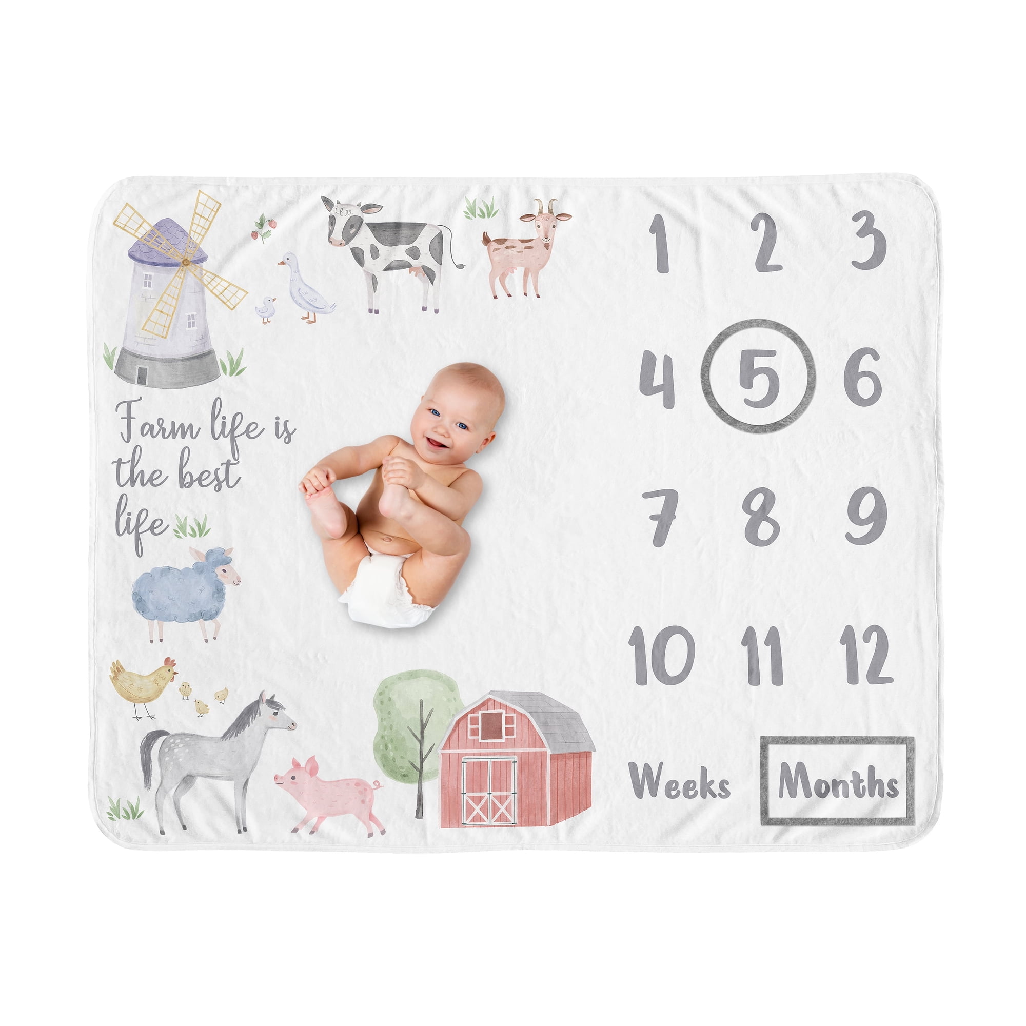 Sweet Jojo Designs Farm Animals Gray Green Grey Red Fleece Milestone Baby Blanket 3 Piece Set