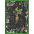 thumbnail image 2 of Boy's Harry Potter Mandrake Root Recipe Graphic Tee Kelly Green Medium, 2 of 4