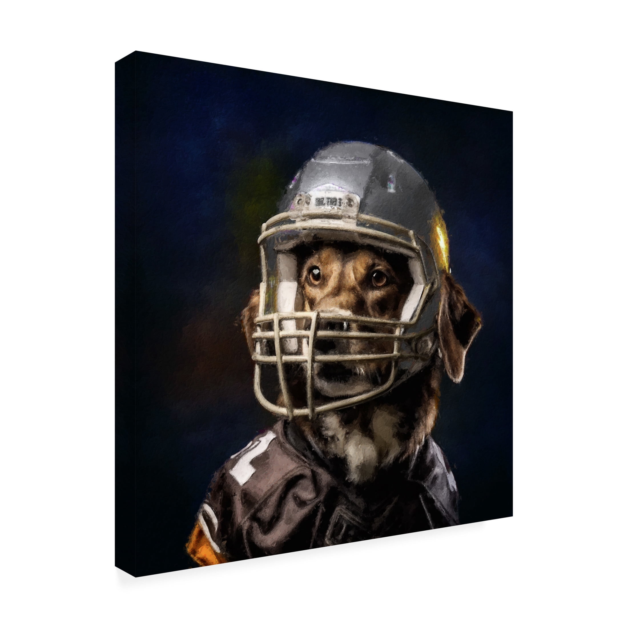 Canvas Wall Art - Sean Parnell 'Football 6' Wall Art for Living Room, Bedroom, or Office Décor by Trademark Fine Art - 18 x 18 Inches