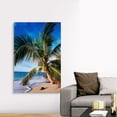 thumbnail image 4 of Great Big Canvas "Hawaii, Coconut Laying On A Sandy Tropical Beach Beneath A Palm Tree"  by Ed Robinson Black Olive Green   Wrapped Canvas Print Wall Artwork, 4 of 7