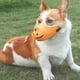 thumbnail image 3 of Bozal de silicona ajustable para perros con control de mordidas y ladridos, transpirable, amarillo, L (16-18 cm), 3 of 8