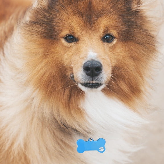 AURARMLET 4Pcs Blue Bone Shaped Dog Id Tags for Pets with Smooth Surface and Custom Engraving