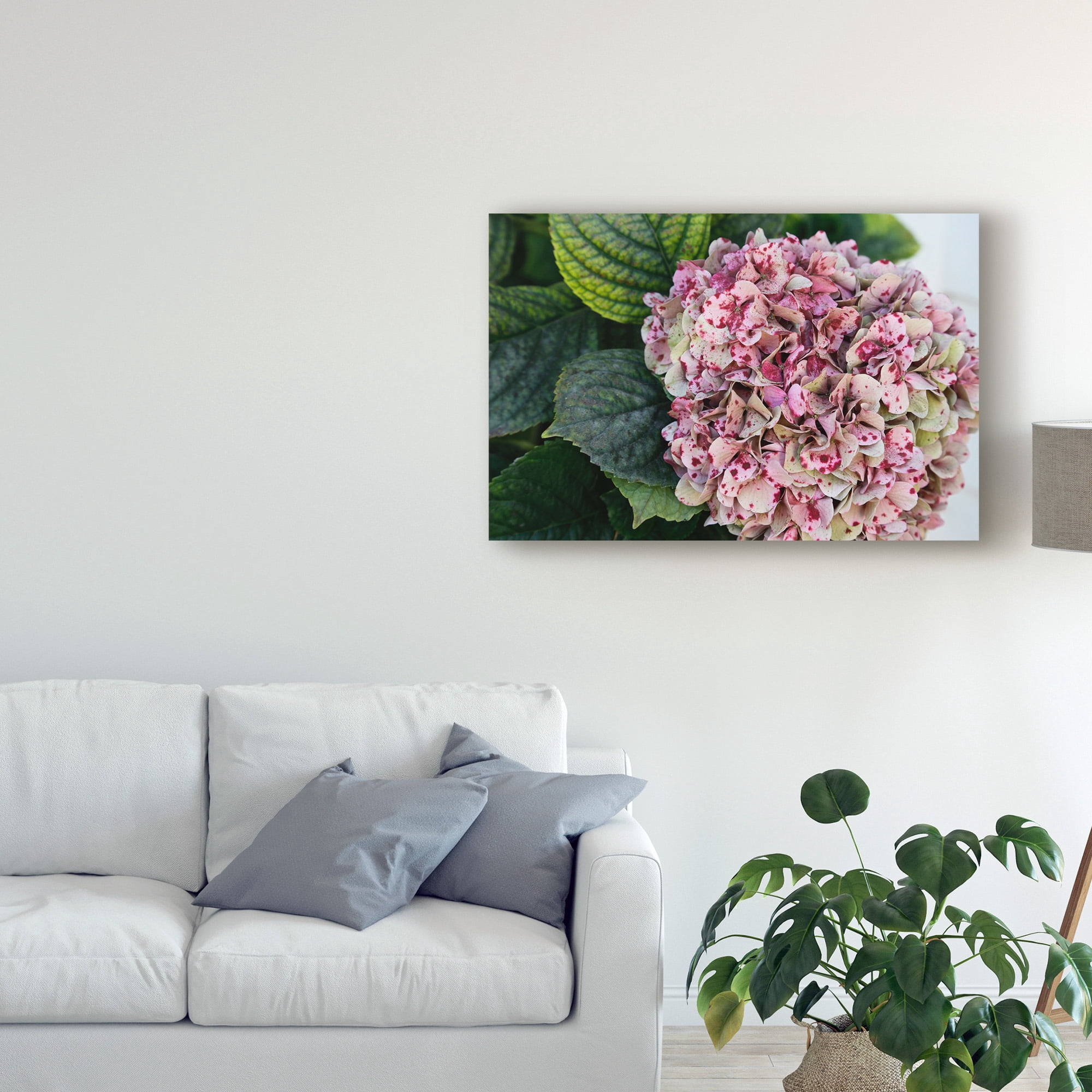 Trademark Fine Art 'Hydrangea Closeup' Canvas Art by American School
