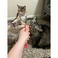 thumbnail image 5 of Kitty Licks Chicken Variety (60 tubes) 3 flavors X 20 tubes, 5 of 6