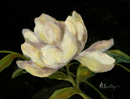 Flower 2 Canvas Art