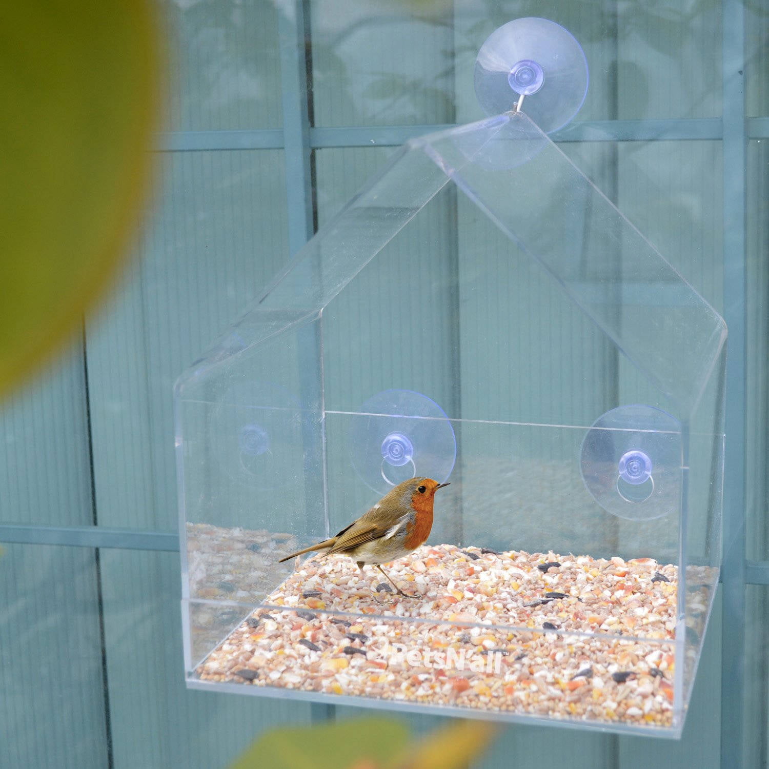 PetsN'all Clear Window Squirrel Proof SongBirdhouse Birdfeeder by Aspectek