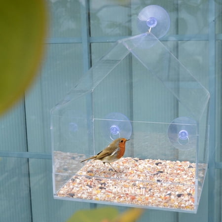 Petsn All Clear Window Squirrel Proof Songbird House Bird Feeder