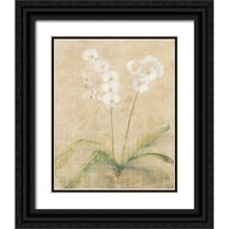 Blum, Cheri 26x31 Black Ornate Wood Framed with Double Matting Museum Art Print Titled - Orchid Cool