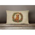 thumbnail image 4 of Carolines Treasures DAC2400PW1216 16 x 12 in. Unisex Nova Scotia Duck Tolling Retriever Christmas Flowers Polyester Fabric Throw Pillow, 4 of 4