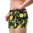 thumbnail image 4 of Disketp Lemon Fruits Flowers Leaves Men'S Boxer Briefs,Soft And Breathable Cotton Underwear With Comfortflex Waistband, 4 of 9