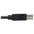 thumbnail image 5 of Tripp Lite 66ft USB 3.2 Gen 1 A to B Fiber Active Optical Cable Black U328F20M, 5 of 5