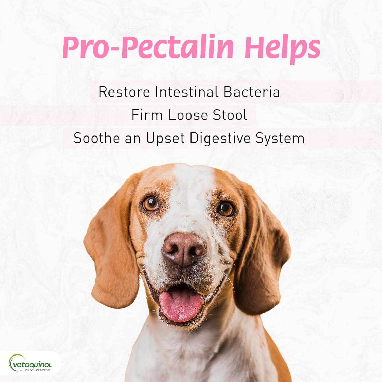 Vetoquinol Pro-Pectalin Chewable Tablets for Dogs & Cats with Kaolin and Pectin