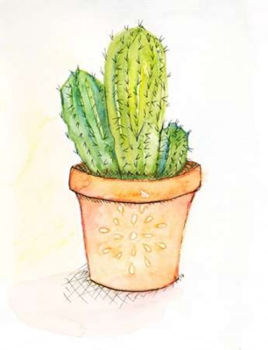 Cactus II Canvas Art - Anne Seay(22X28)