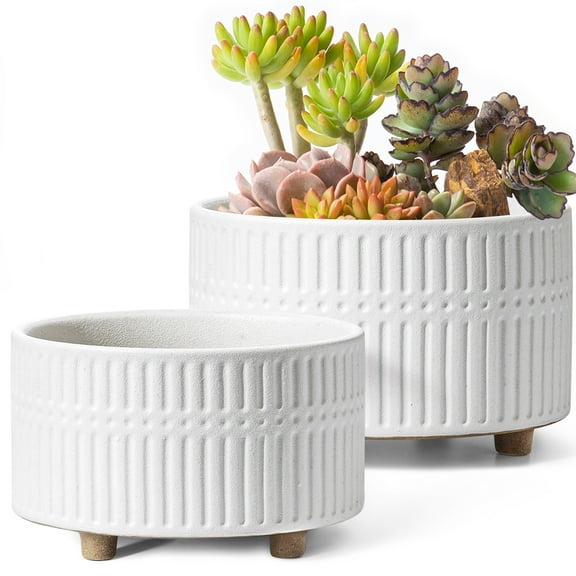 BEMAY 2-Pack 8 6.5 inch White Ceramic Succulent Pots with Drainage Holes for Indoor, Patio, and Garden Decor Plant Pots