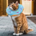 thumbnail image 3 of Collier Ajustable en Forme de Beignet Elizabeth pour Chat et Petit Chien, 3 of 8