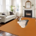 thumbnail image 3 of Orange Sky Area Rug 8x10 Washable Rug Non Slip Abstract Sky White Minimalist Large Area Rug Soft Stainresistant Indoor Floor Carpet for Living Room Bedroom Home Office Dining Room Nursery, 3 of 9