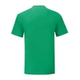 thumbnail image 2 of Fruit Of The Loom Mens Iconic 150 T-Shirt, 2 of 3