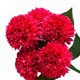 thumbnail image 5 of Ramo de flores artificiales de 5 cabezas Ceremonia de banquete de boda Decoración floral Tela de seda Flor falsa con hojas, Rosa kenally HA6561-05B, 5 of 6