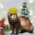 thumbnail image 4 of Small Pet Hat Adorable Knitted Hamster Hat Adjustable Comfortable Small Pets Headwear Pet Costume Accessory, 4 of 6