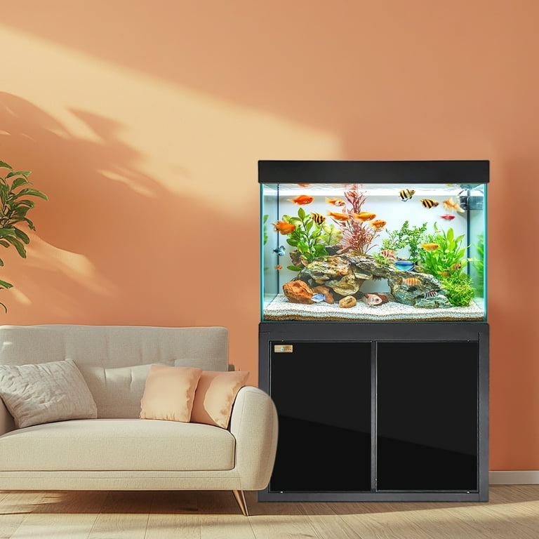 FISH TANK  31冊 81w0nVxlsQL._UF350,350_QL50_.jpg