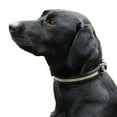 thumbnail image 3 of Benji & Flo Collier pour Chien à Strass, 3 of 4