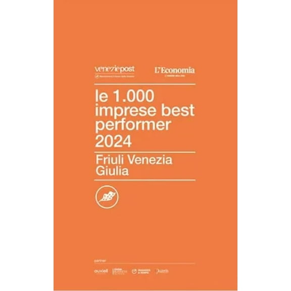 AA.VV Le 1.000 imprese best performer 2024 del Friuli Venezia Giulia (Paperback)