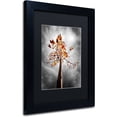 thumbnail image 2 of Trademark Fine Art "Black Fall" Canvas Art by Philippe Sainte-Laudy Black Matte, Black Frame, 2 of 4